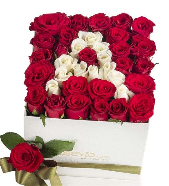 İkili Kişiye Özel Aşkın Baş Harfi Güller - 3