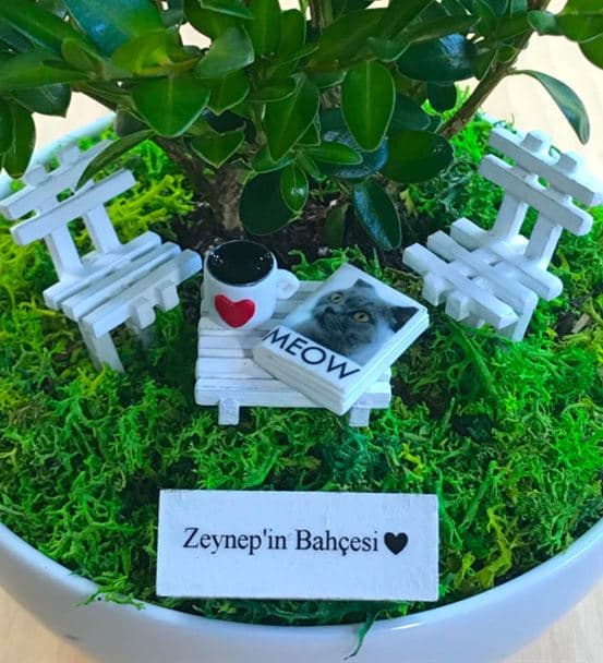 Kedi Severe Hediye Bonsai - Cute Koleksiyonu - 3