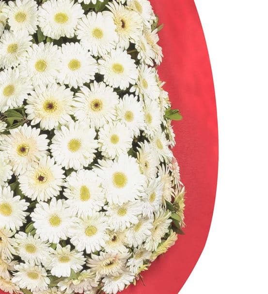 Kırmızı Beyaz Gerbera Kutlama Çelengi - 3