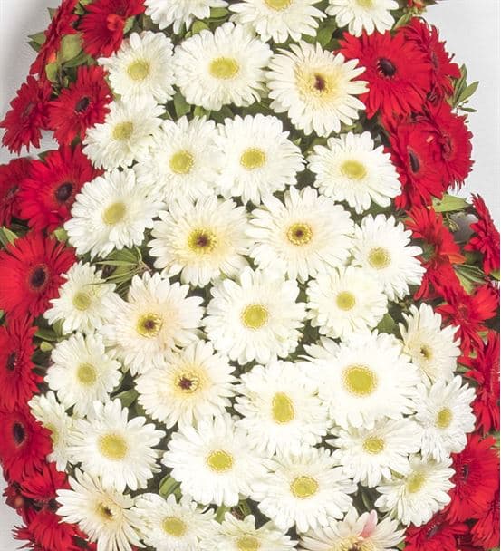 Kırmızı Beyaz Gerbera Tebrik Çelengi - hover