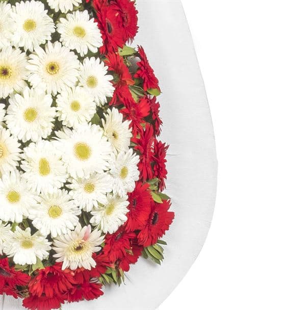 Kırmızı Beyaz Gerbera Tebrik Çelengi - 3