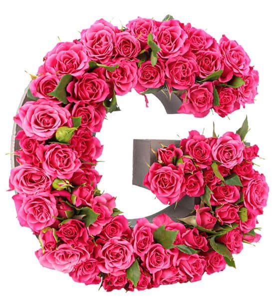 Kişiye Özel Harf Saksıda Fuşya Mini Gül Tasarım - hover