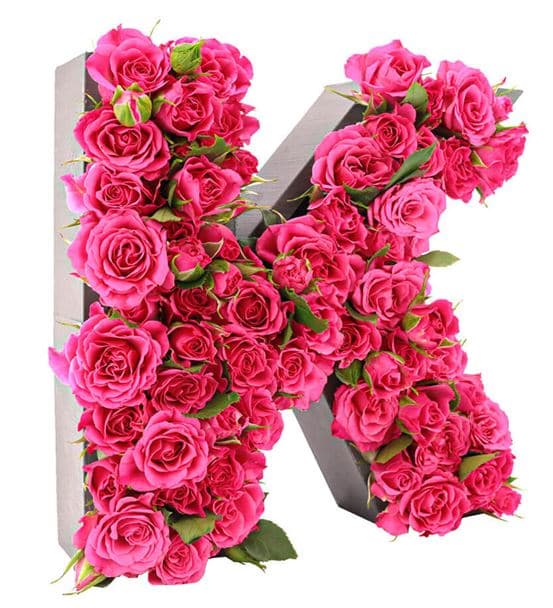 Kişiye Özel Harf Saksıda Fuşya Mini Gül Tasarım - 3