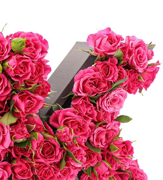 Kişiye Özel Harf Saksıda Fuşya Mini Gül Tasarım - 4