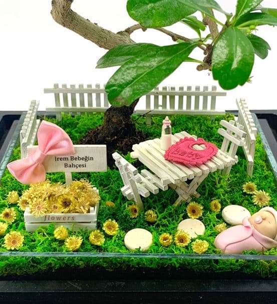 Kız Bebek Hediyesi Teraryum - Bonsai Koleksiyonu - hover