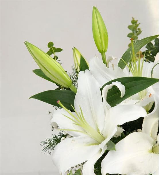 Kokulu Beyaz Lilyum Tasarım Aranjmanı - hover