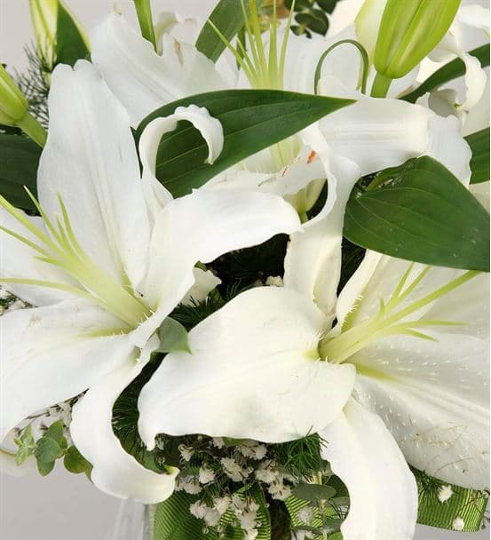 Kokulu Beyaz Lilyum Tasarım Aranjmanı - 3