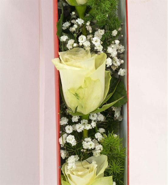 Kutuda 3 Beyaz Gül - hover