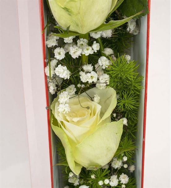 Kutuda 3 Beyaz Gül - 3