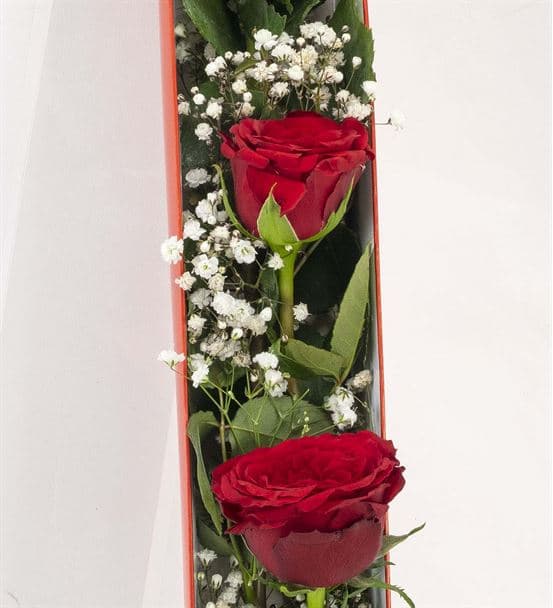 Kutuda 3 Kırmızı Gül - hover