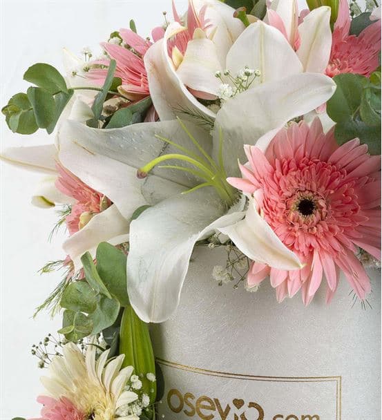 Kutuda Sevimli Ayıcık ve Kokulu Çiçekler - hover