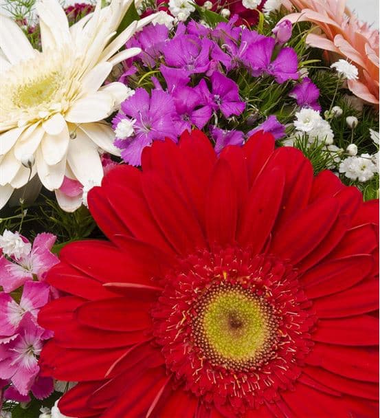 Love Beads Fanusta Çiçek Aranjmanı - 3