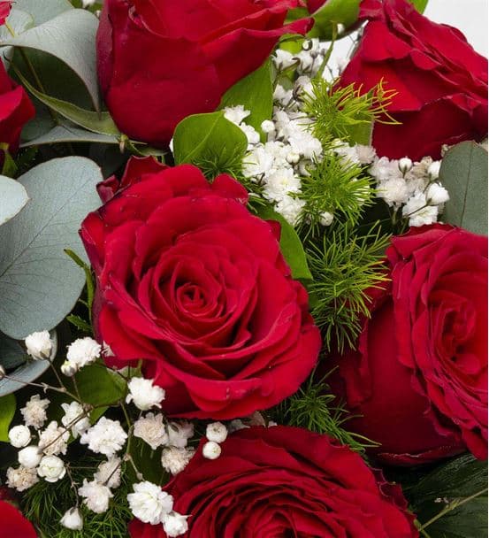 Love Bug Akvaryum Vazoda 11 Kırmızı Güller - 3