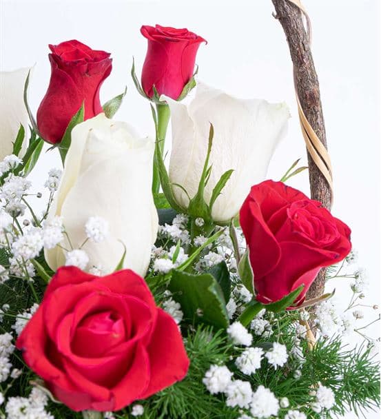 Martha Serisi 5 Kırmızı 4 Beyaz Gül Çiçek Sepeti - 3