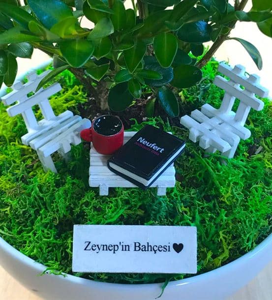 Mimara Hediye Bonsai - Cute Koleksiyonu - 3