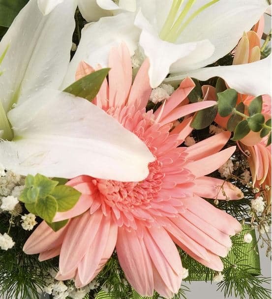 Mis Kokulu Pembe Beyaz Zarif Çiçekler - 3