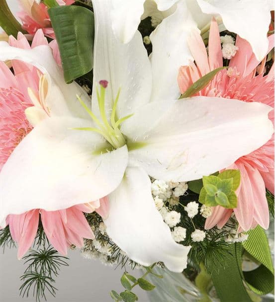 Mis Kokulu Pembe Beyaz Zarif Çiçekler - 4