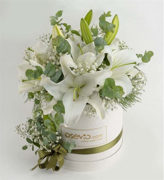 Monte Compatri Kutuda Kokulu Lilyumlar - hover