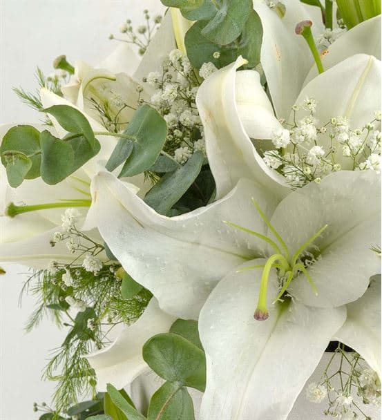 Monte Compatri Kutuda Kokulu Lilyumlar - 3