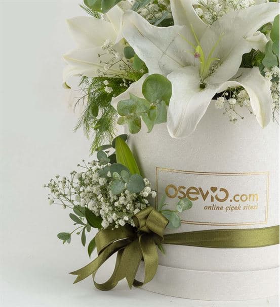 Monte Compatri Kutuda Kokulu Lilyumlar - 4