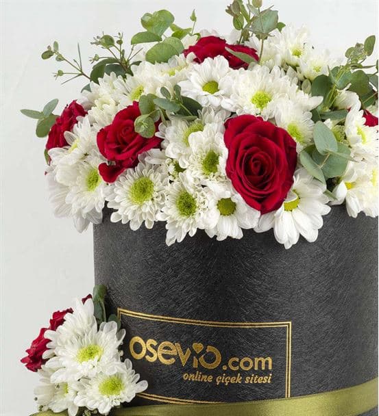 Montenero Kutuda Mutlu Ayıcık ve Papatyalı Güller - 4