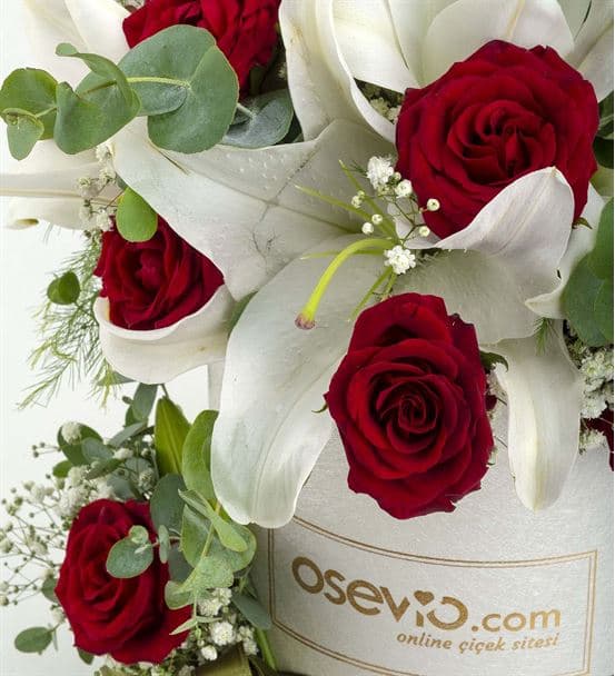 Montesilvano Kutuda Sevgi Bahçesi Lilyum ve Güller - 3