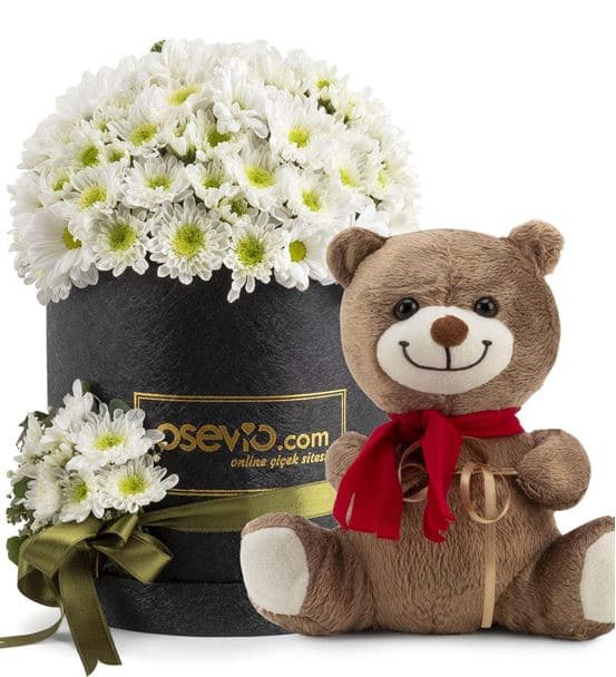 Montparnasse Kutuda Ayıcıklı Beyaz Papatyalar