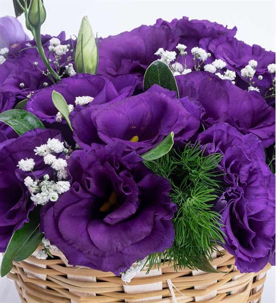 Mor Güzeli Lisyantus Çiçek Sepeti Aranjmanı - 4