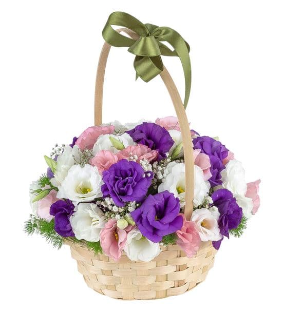 Sepet Çiçekleri