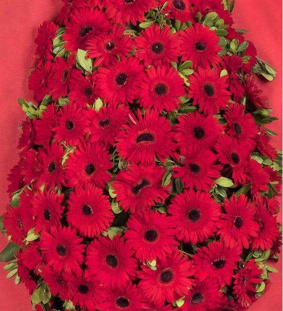 Mutlu Yarınlar Kırmızı Gerbera Kutlama Çelengi - hover