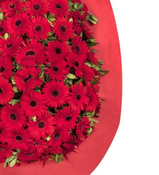 Mutlu Yarınlar Kırmızı Gerbera Kutlama Çelengi - 3