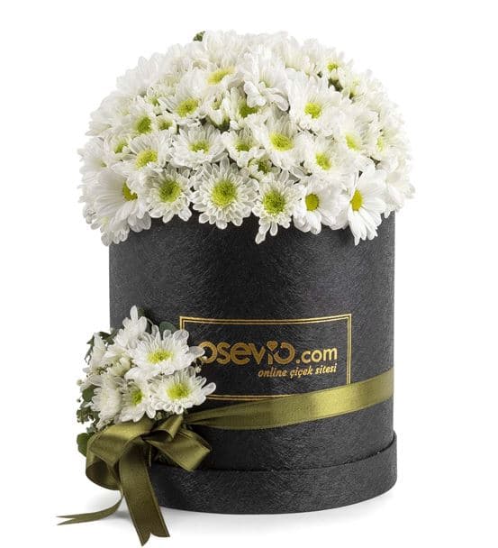 Mutluluk Kutusu Beyaz Papatya Aranjmanı