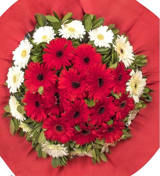 Mutluluklar Kırmızı Gerbera Kutlama Çelengi - hover