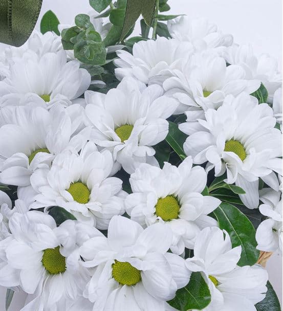 Papatya Esintisi Çiçek Sepeti Aranjmanı - hover