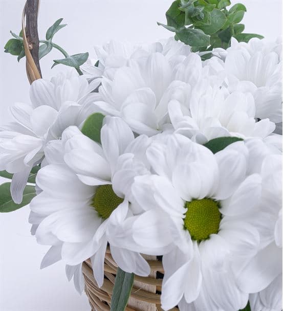 Papatya Esintisi Çiçek Sepeti Aranjmanı - 3