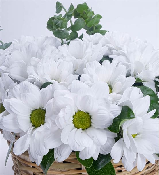 Papatya Esintisi Çiçek Sepeti Aranjmanı - 4