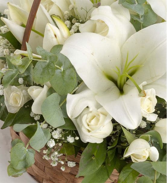 Portonovo Sepette Ayıcıklı Beyaz Lilyum Aranjmanı - hover