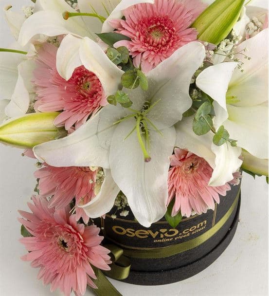 Preston Kutuda Lilyum Gerbera Aranjmanı - hover