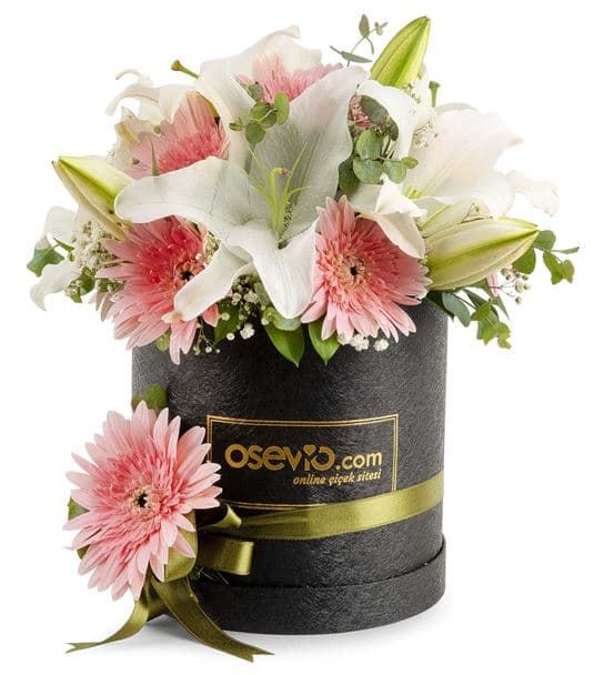 Preston Kutuda Lilyum Gerbera Aranjmanı