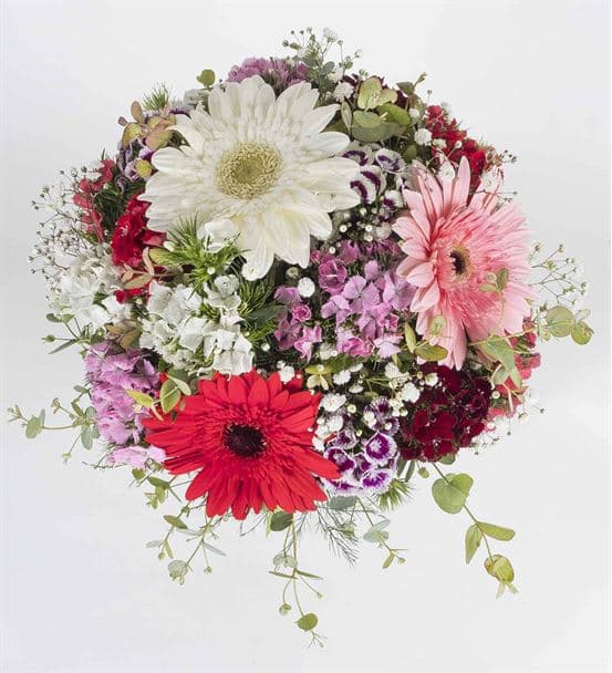 Renk Karnavalı Çiçek Aranjmanı - hover