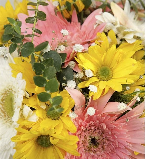 Renkli Papatya ve Gerberaların Buluşması - hover