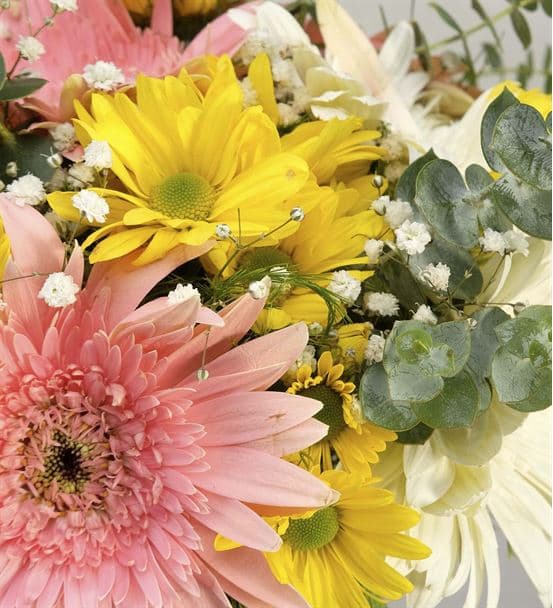 Renkli Papatya ve Gerberaların Buluşması - 3