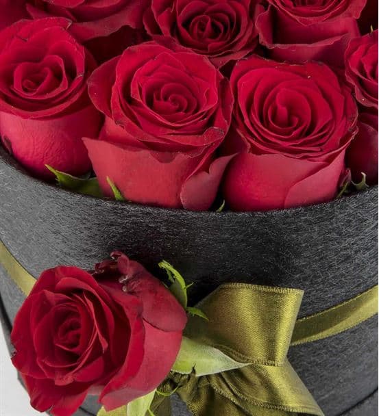 Sasa Mila Kutuda 20 Kırmızı Güller - hover