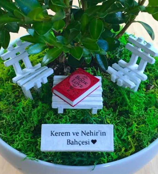 Sevgililer Günü Hediyesi Bonsai - Cute Koleksiyonu - hover