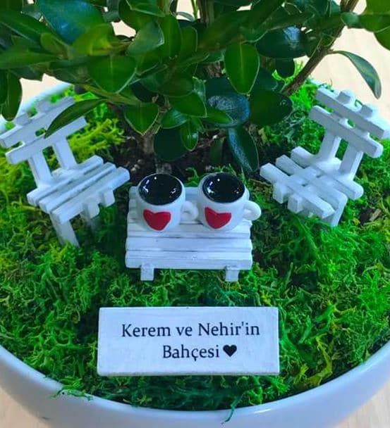 Sevgiliye Hediye Bonsai - Cute Koleksiyonu - hover