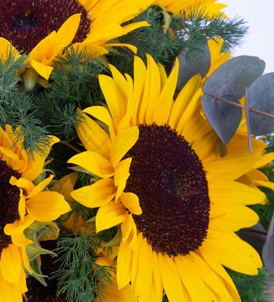 Sunshine Kucak Dolusu Ay Çiçeği Tasarım Buketi - hover