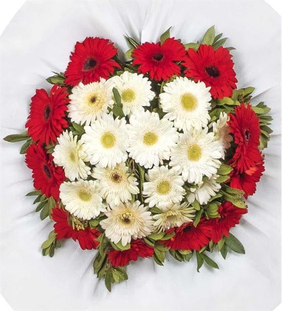 Tatlı Düşler Kırmızı Beyaz Gerbera Kutlama Çelengi - hover