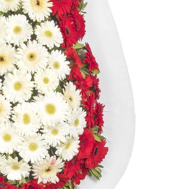 Tatlı Düşler Kırmızı Beyaz Gerbera Kutlama Çelengi - 3