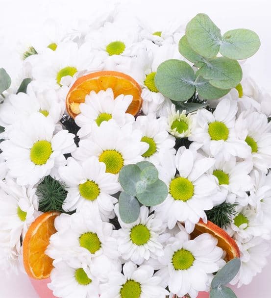 Vivien Serisi Beyaz Papatya Tasarım Aranjmanı - hover