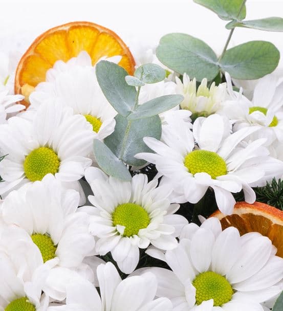 Vivien Serisi Beyaz Papatya Tasarım Aranjmanı - 4